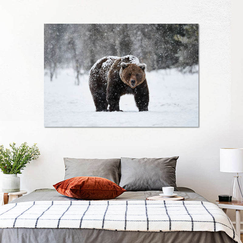 Winter Grizzly Bear Wall Art