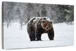 Winter Grizzly Bear Wall Art