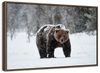 Winter Grizzly Bear Wall Art