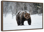 Winter Grizzly Bear Wall Art