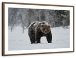 Winter Grizzly Bear Wall Art