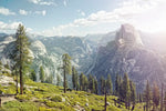 Yosemite Half Dome Wall Art
