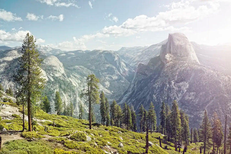 Yosemite Half Dome Wall Art