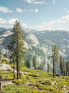 Yosemite Half Dome Wall Art