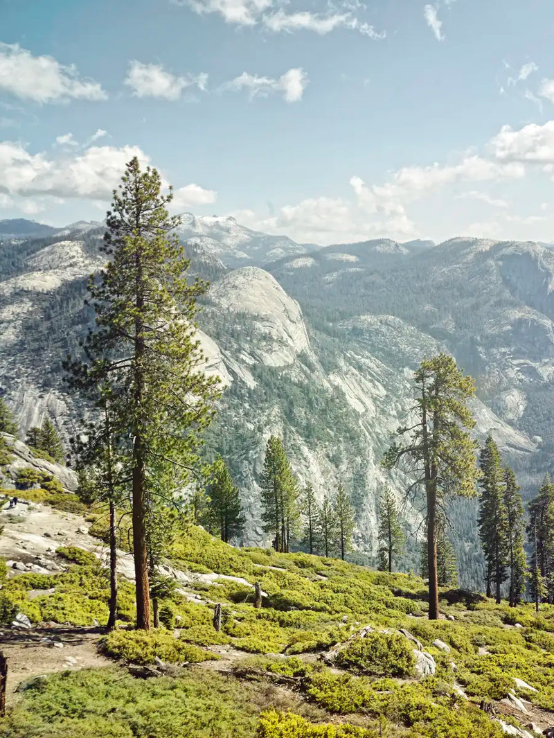 Yosemite Half Dome Wall Art