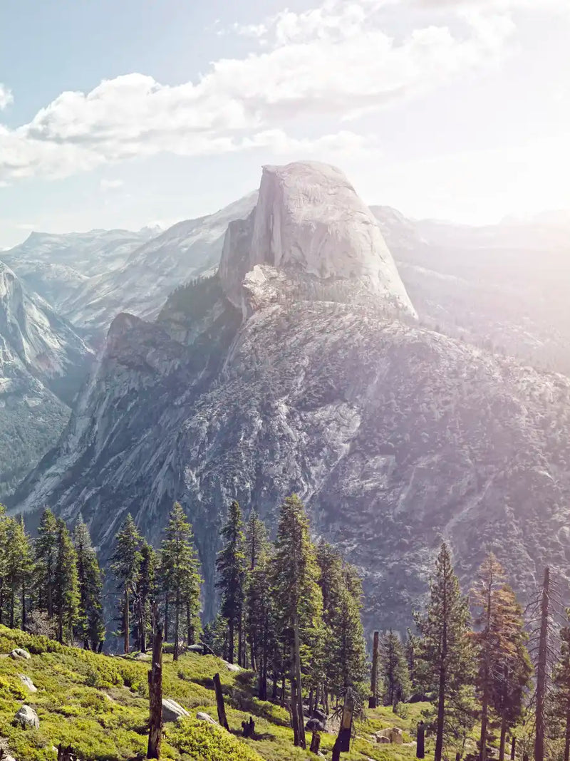 Yosemite Half Dome Wall Art
