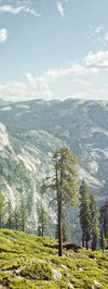 Yosemite Half Dome Wall Art