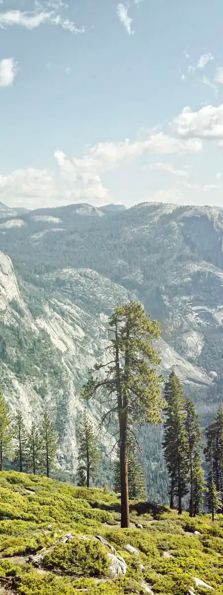 Yosemite Half Dome Wall Art