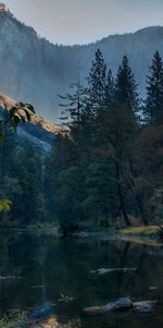 Yosemite National Park El Capitan Wall Art