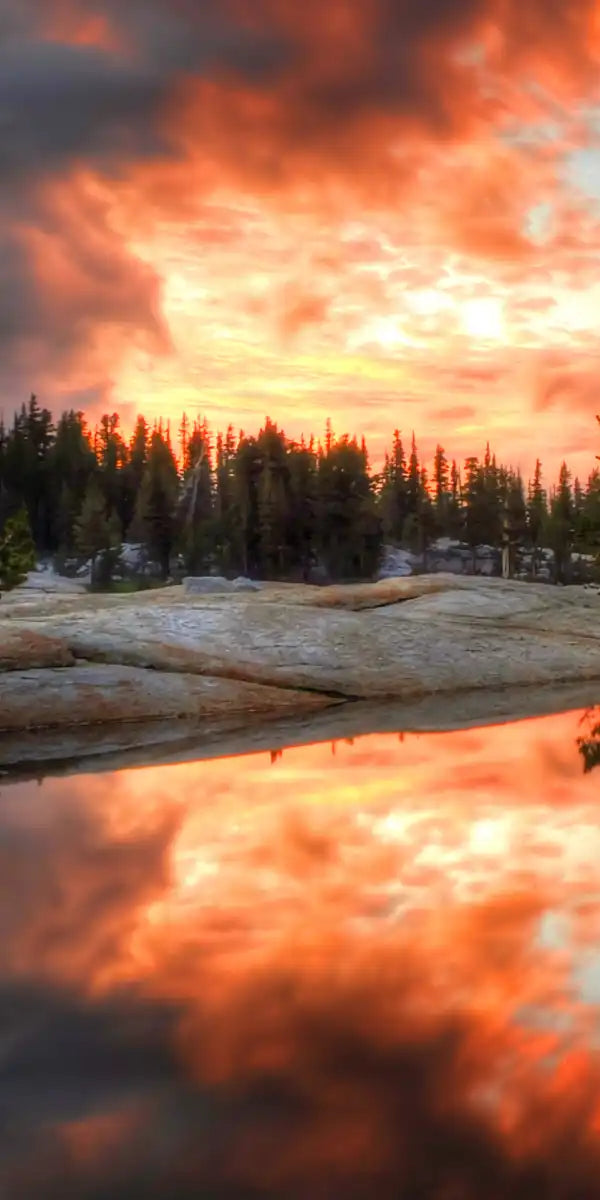 Yosemite Park Sunset Wall Art