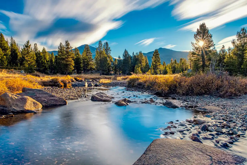 Yosemite River Stream Wall Art