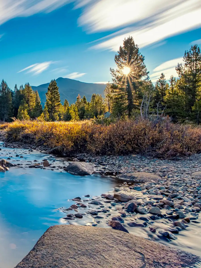 Yosemite River Stream Wall Art