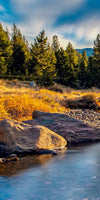 Yosemite River Stream Wall Art
