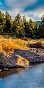 Yosemite River Stream Wall Art