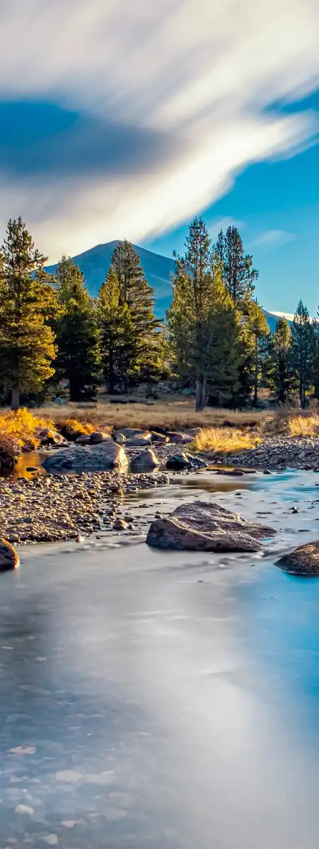 Yosemite River Stream Wall Art