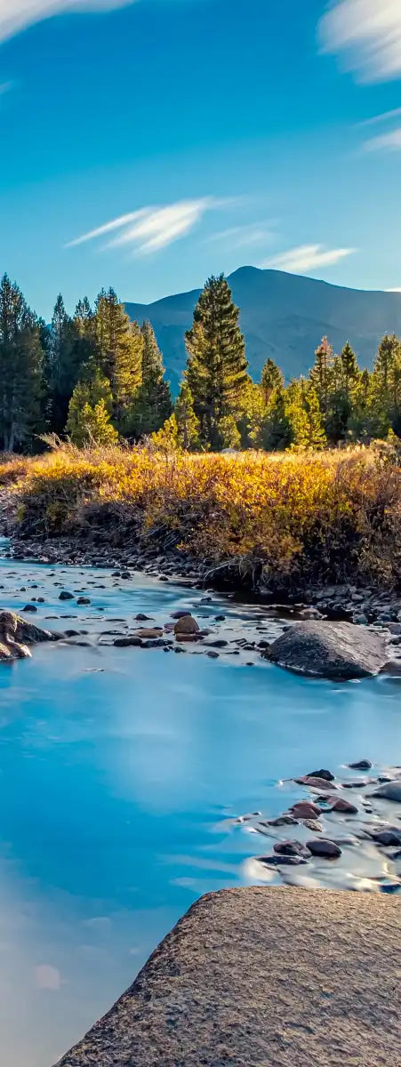 Yosemite River Stream Wall Art