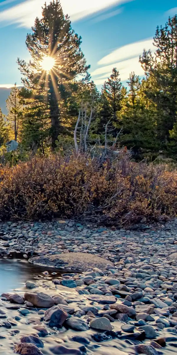 Yosemite River Stream Wall Art