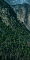 Yosemite Stunning Stars Wall Art