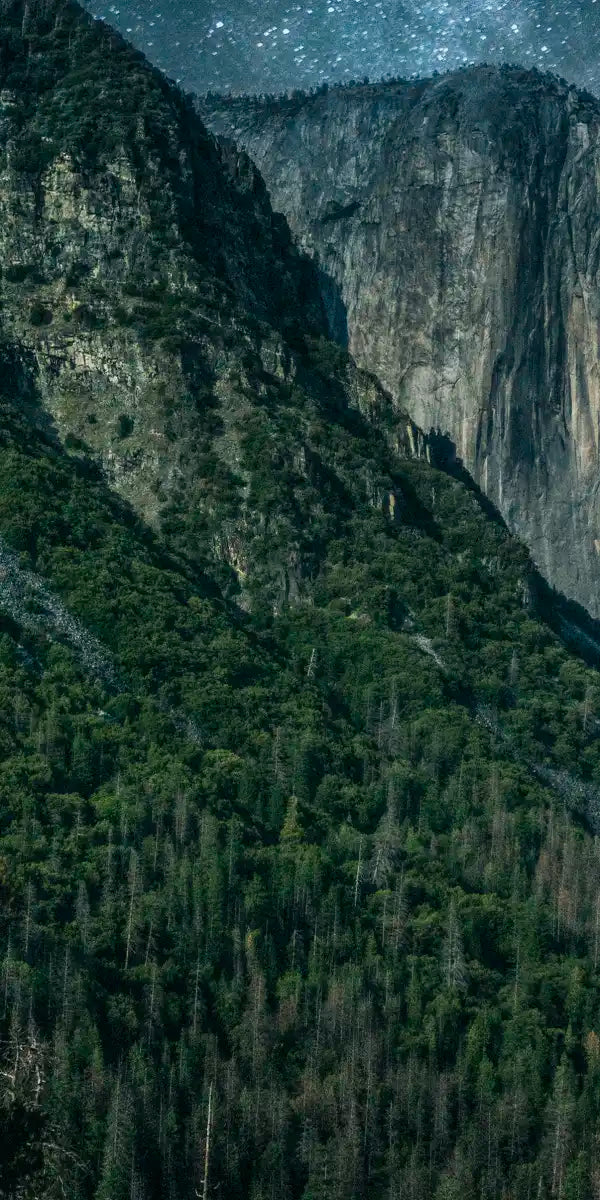 Yosemite Stunning Stars Wall Art