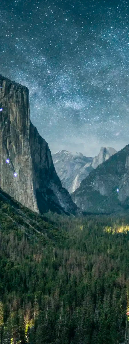 Yosemite Stunning Stars Wall Art