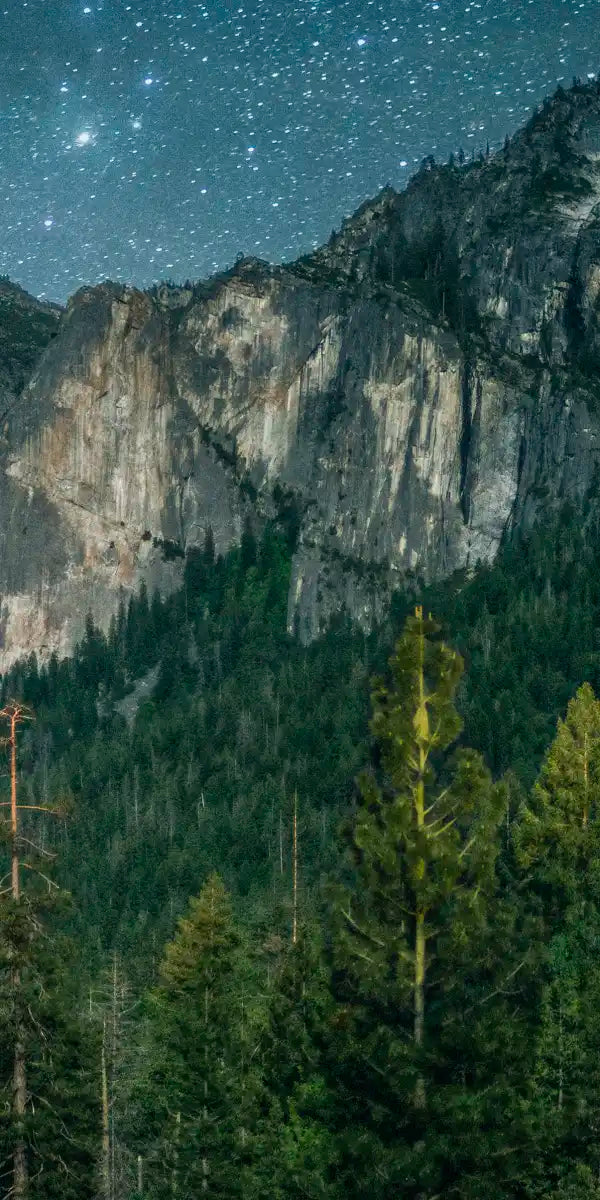 Yosemite Stunning Stars Wall Art