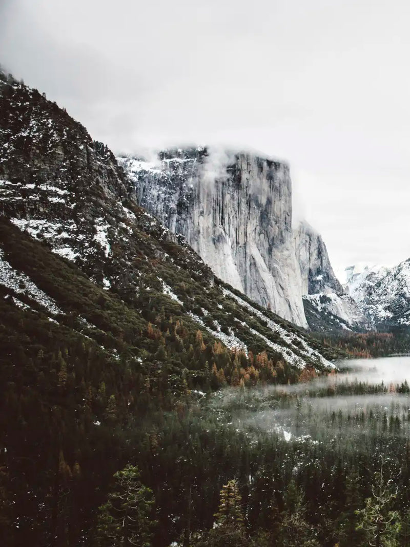 Yosemite Winter Magic Wall Art