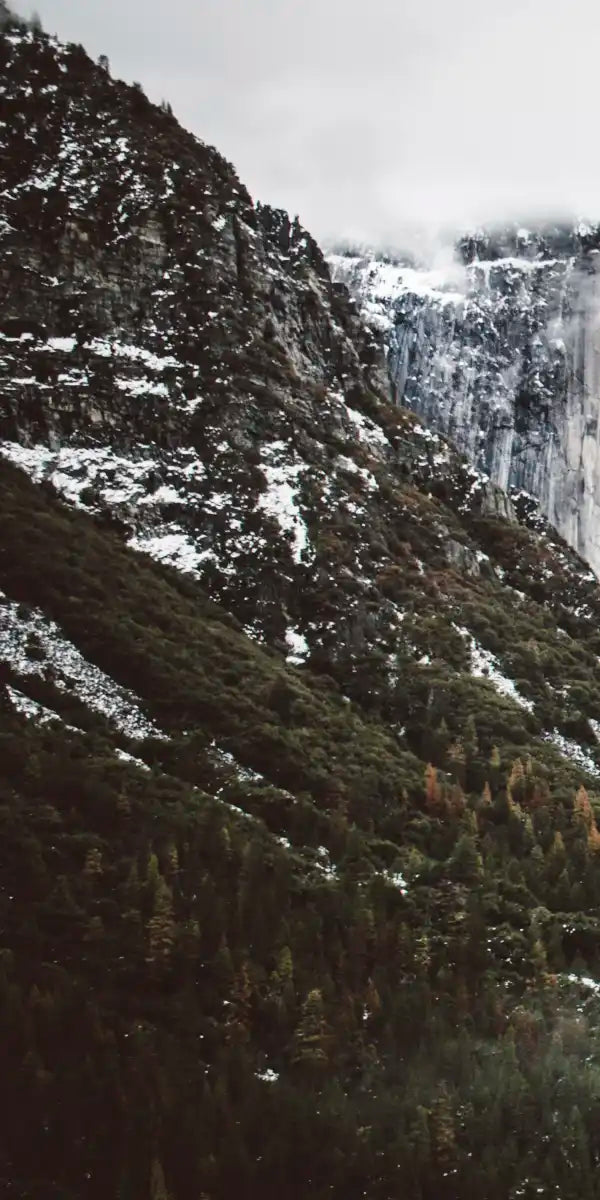 Yosemite Winter Magic Wall Art