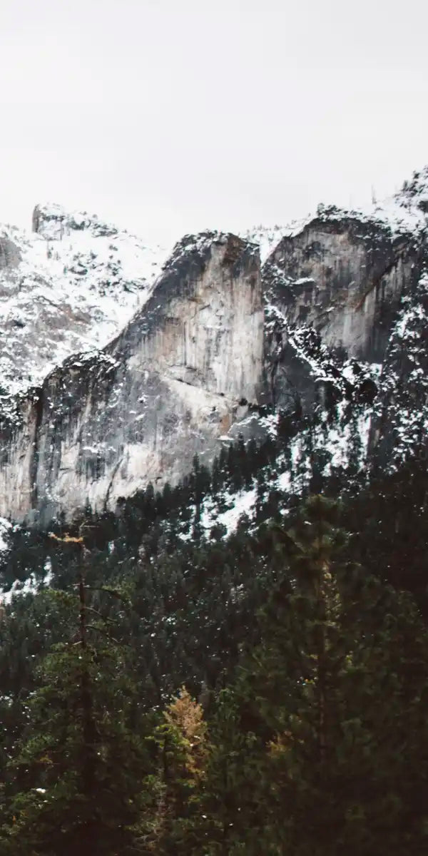 Yosemite Winter Magic Wall Art