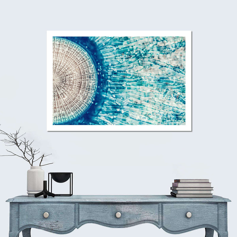 Jellyfish Details Wall Art