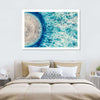 Jellyfish Details Wall Art