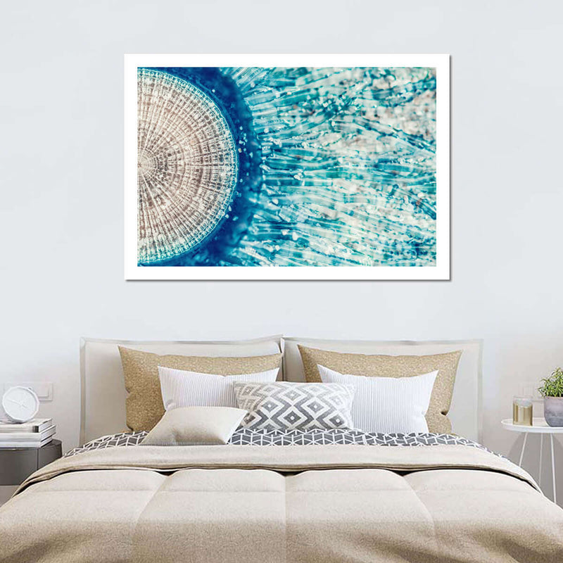 Jellyfish Details Wall Art