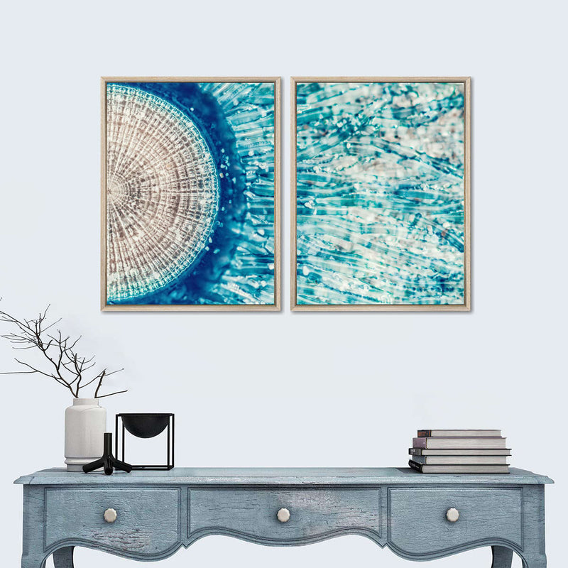Jellyfish Details Wall Art