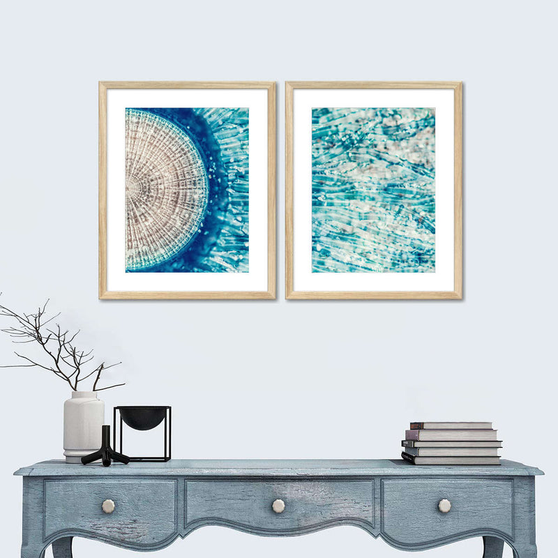 Jellyfish Details Wall Art