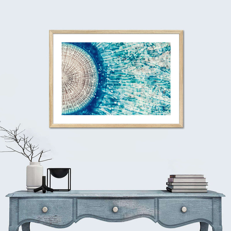 Jellyfish Details Wall Art
