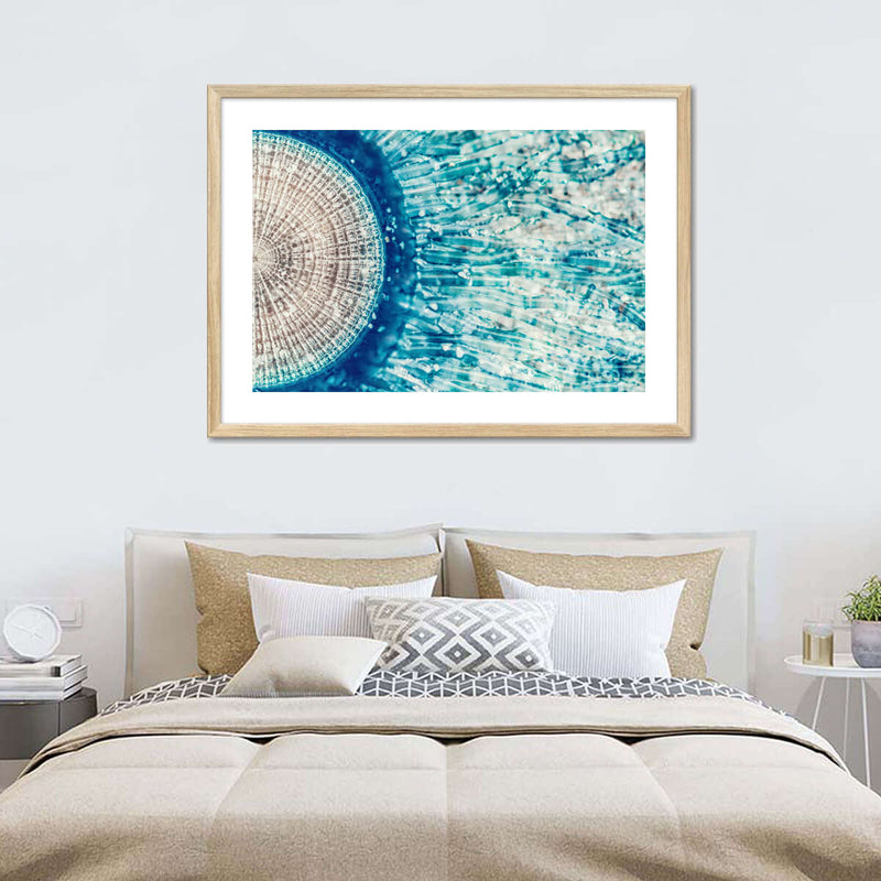 Jellyfish Details Wall Art