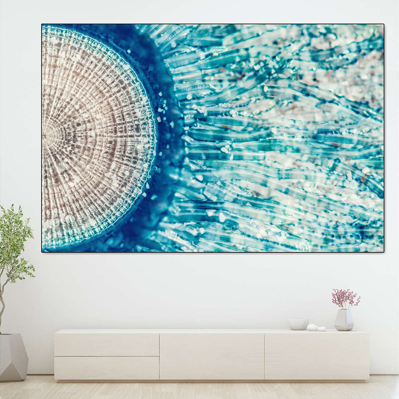 Jellyfish Details Wall Art