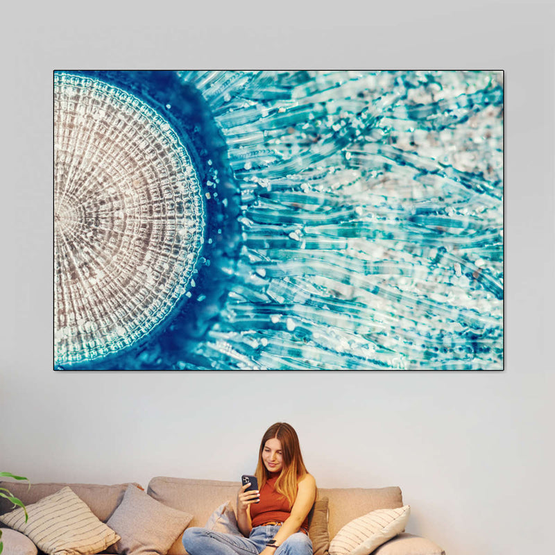 Jellyfish Details Wall Art