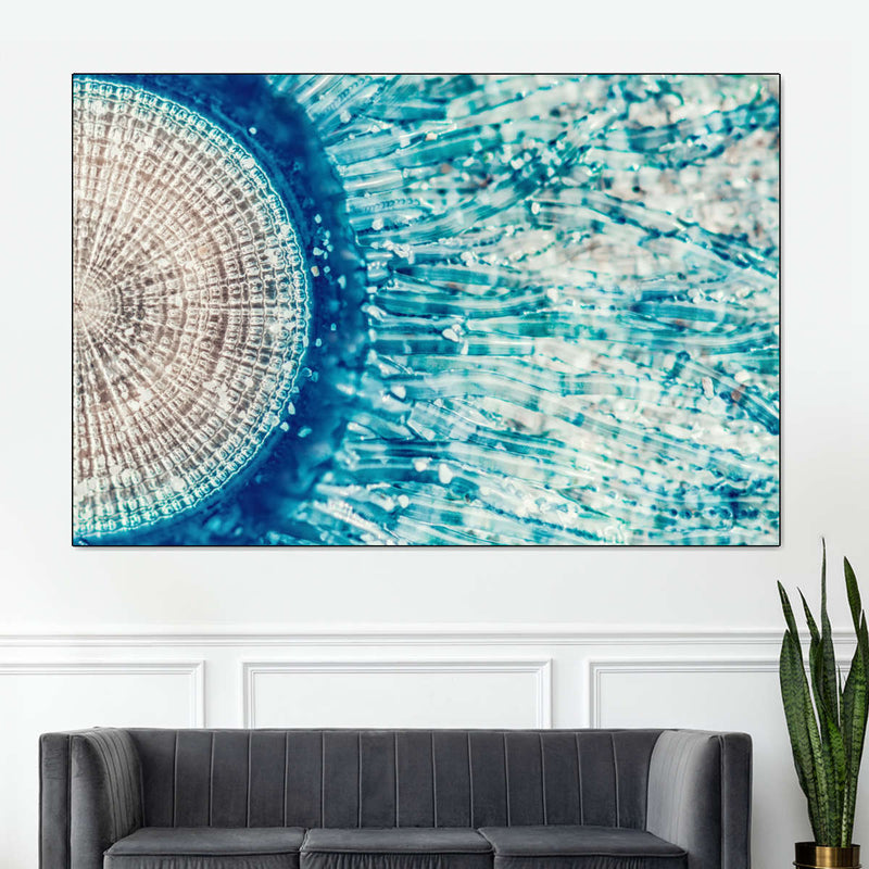 Jellyfish Details Wall Art