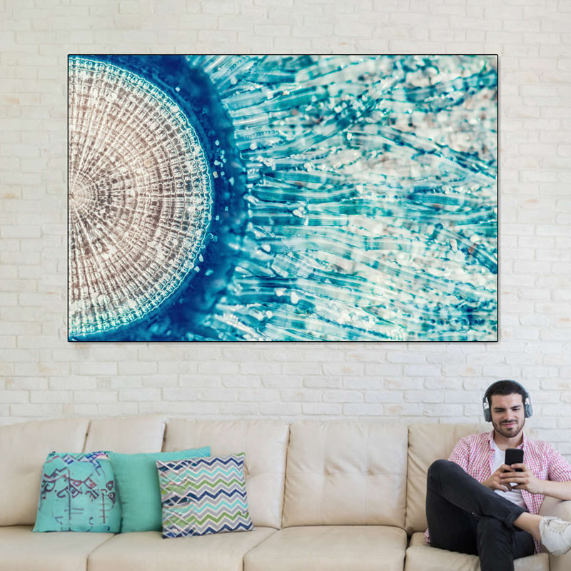 Jellyfish Details Wall Art