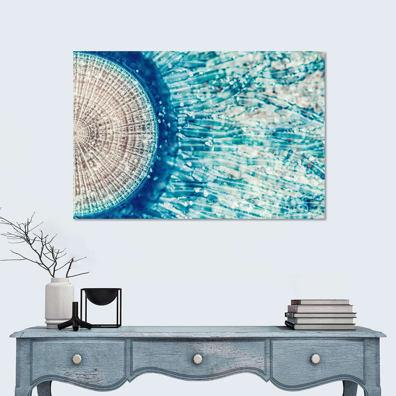 Jellyfish Details Wall Art