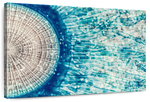 Jellyfish Details Wall Art
