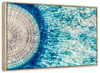 Jellyfish Details Wall Art