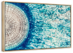 Jellyfish Details Wall Art