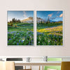 Springtime At Mount Rainier Wall Art