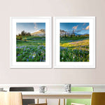 Springtime At Mount Rainier Wall Art