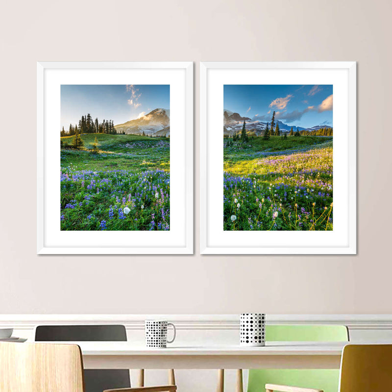 Springtime At Mount Rainier Wall Art