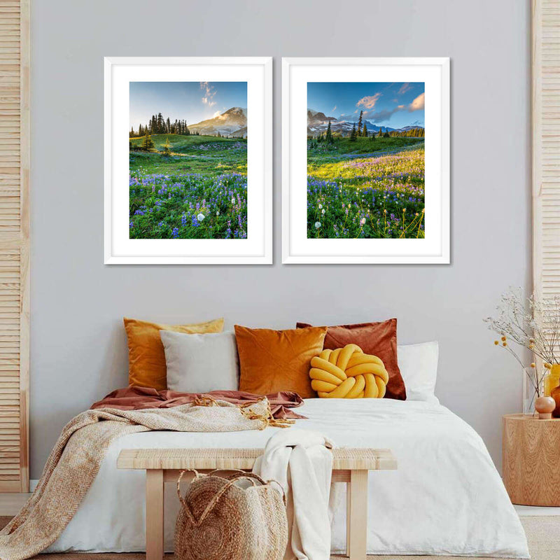 Springtime At Mount Rainier Wall Art