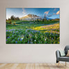 Springtime At Mount Rainier Wall Art