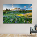 Springtime At Mount Rainier Wall Art