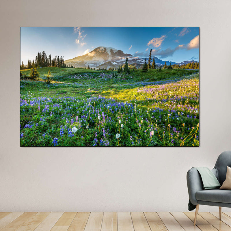 Springtime At Mount Rainier Wall Art